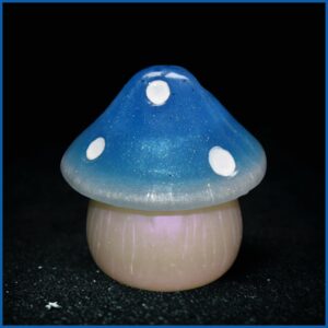 Boîte “Champignon magique”